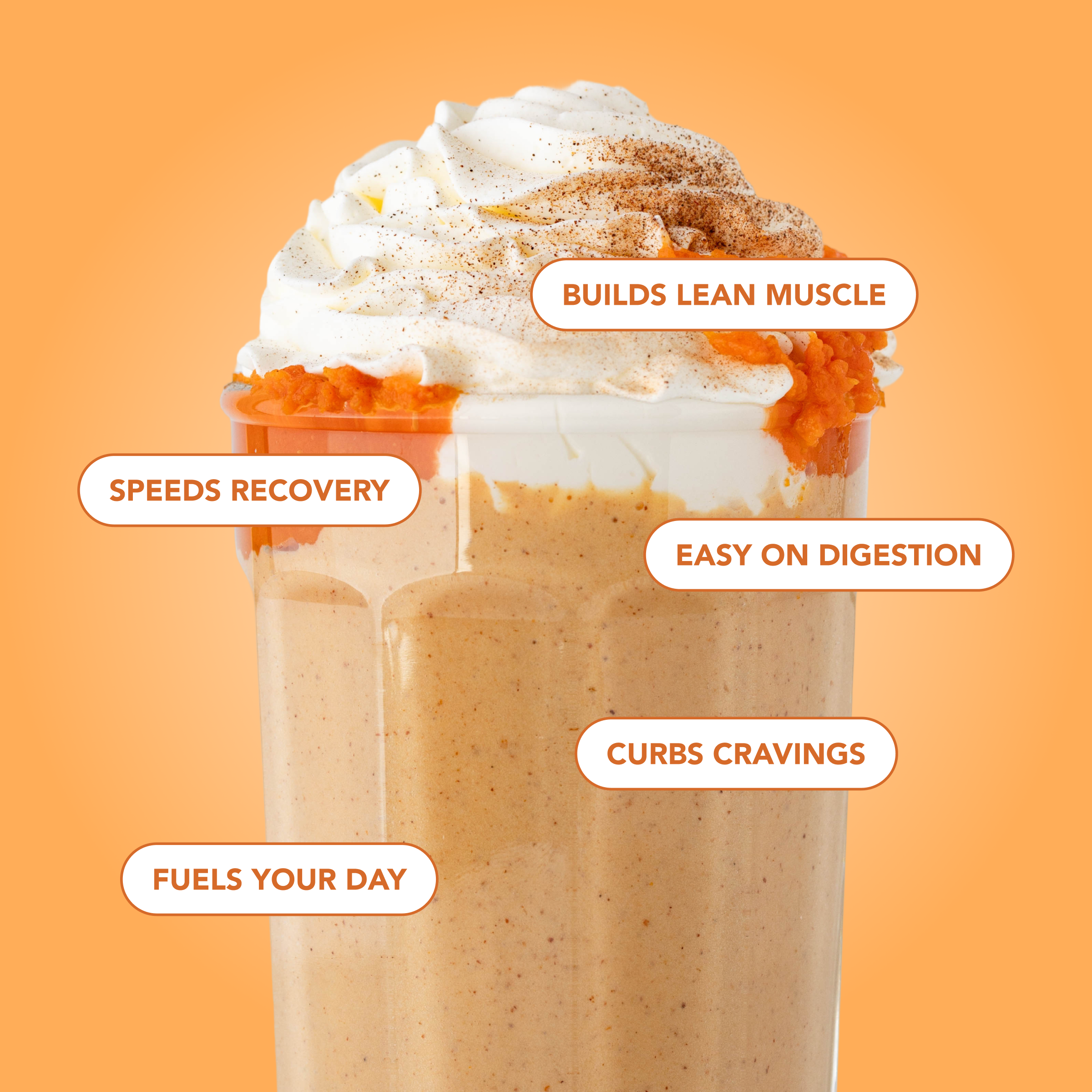 Protein Powder: Pumpkin Pie (10 Serving Bag)