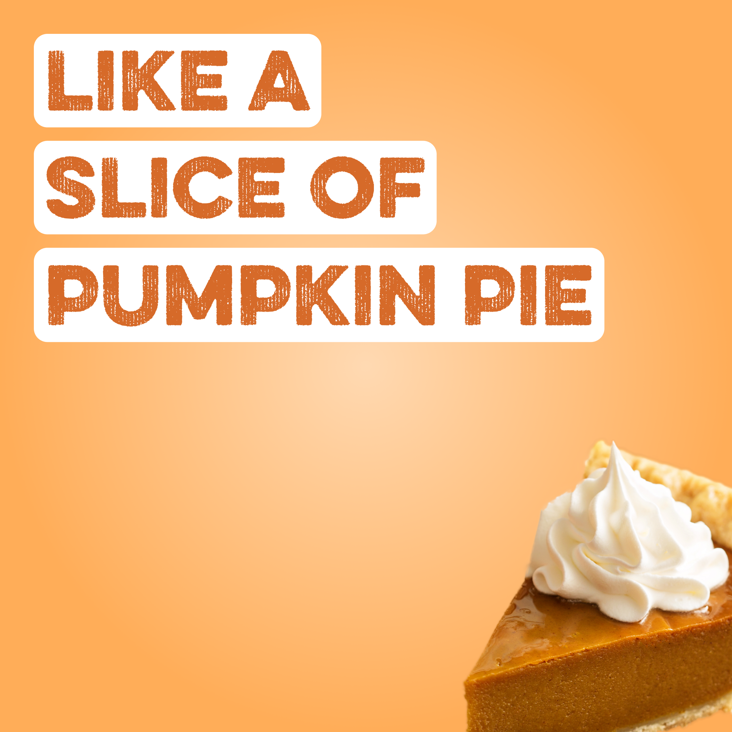 Protein Powder: Pumpkin Pie (10 Serving Bag)